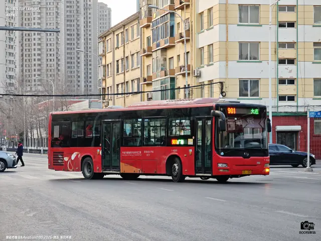 辽B L1353