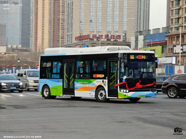辽A 00929D