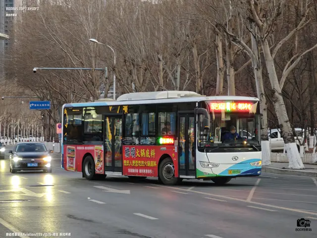 辽A 08990D