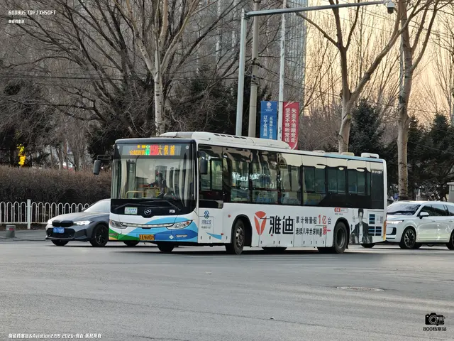 辽A N6809