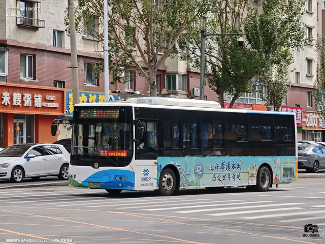 辽A 03580D