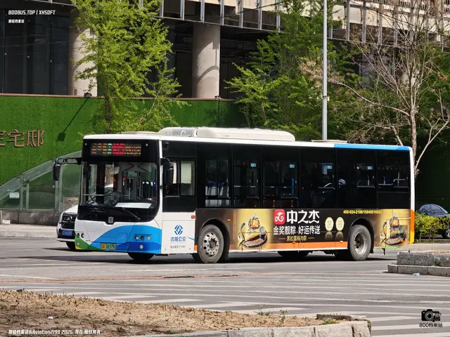 辽A 08379D