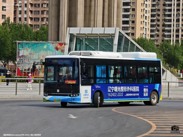 辽A 01208D