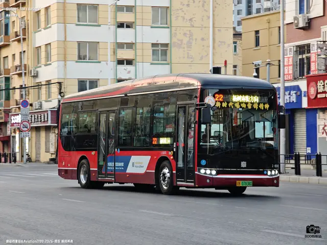 辽B 07838D