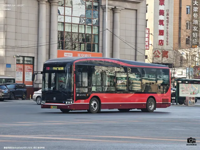 辽B 06600D