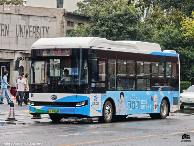 辽A 08086F