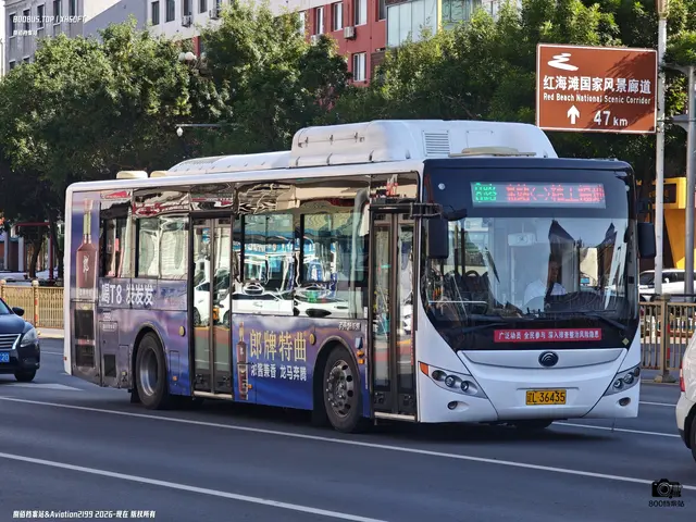 辽L 36435