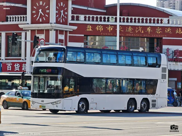 辽L 08583D