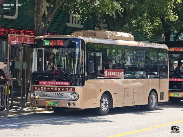 辽L 07079D