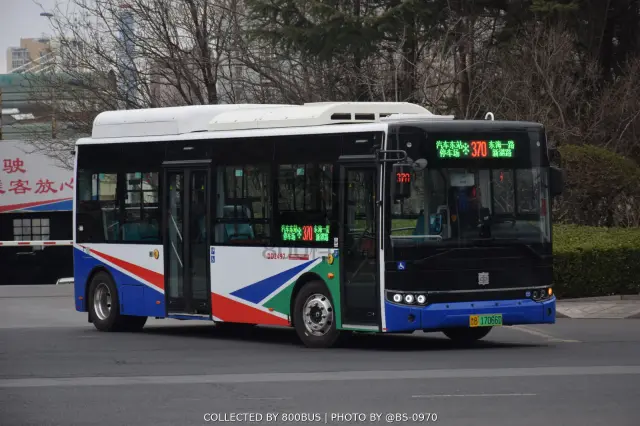 鲁B 17066D