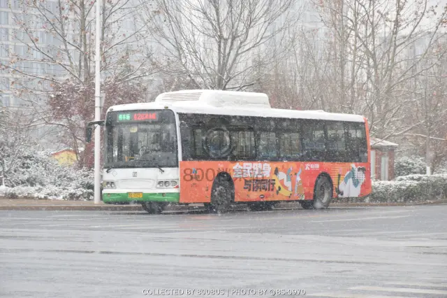 鲁B S0251