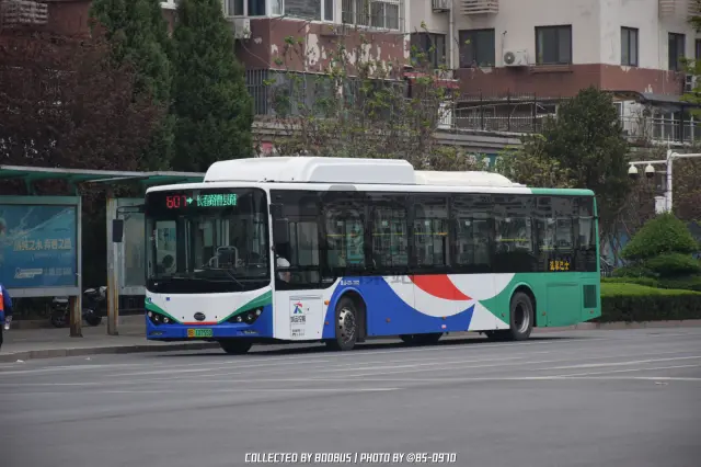 鲁B 10755D