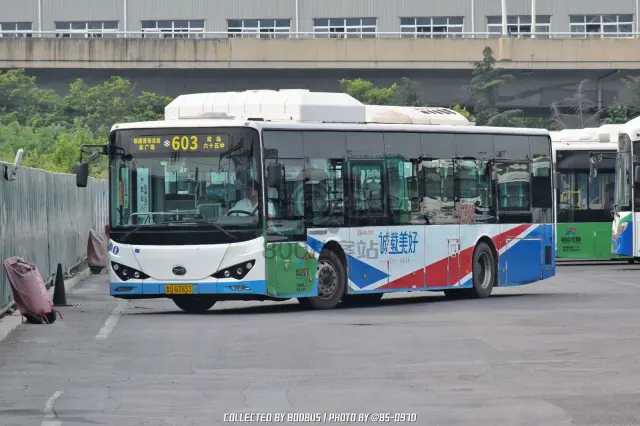 鲁U G3833