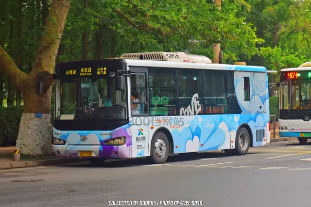 鲁U B3389