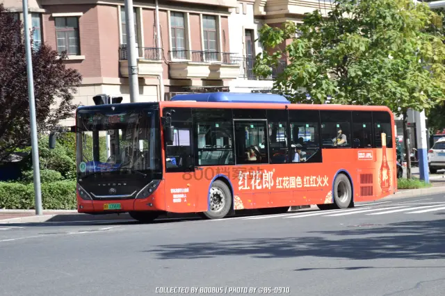 鲁B 13569D