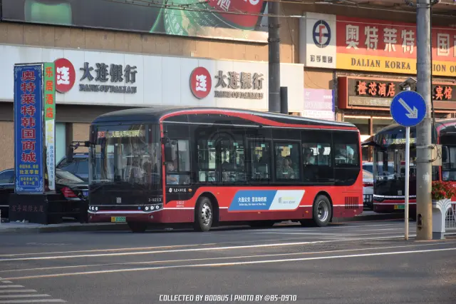 辽B 01225D
