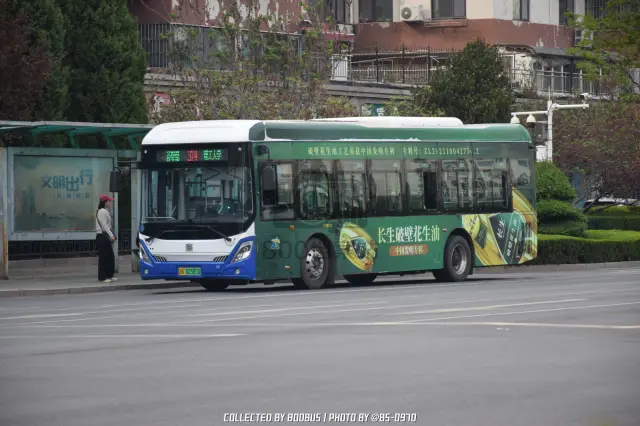 鲁B 02585D