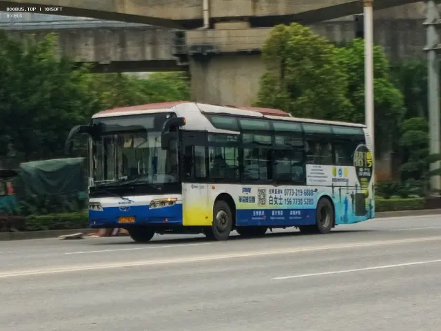 桂C.29829