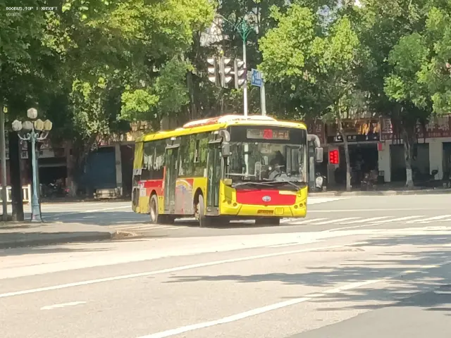 800BUS