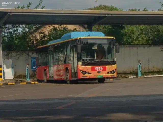 800BUS