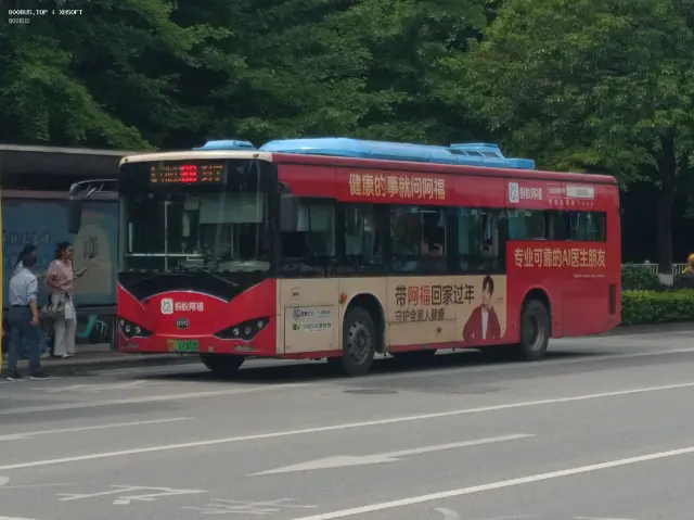 800BUS