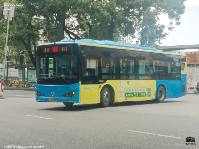 800BUS