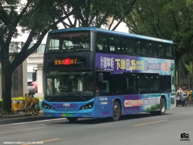 800BUS