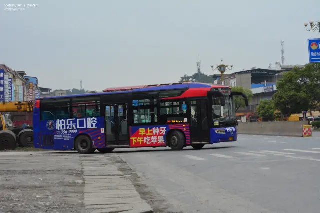 800BUS