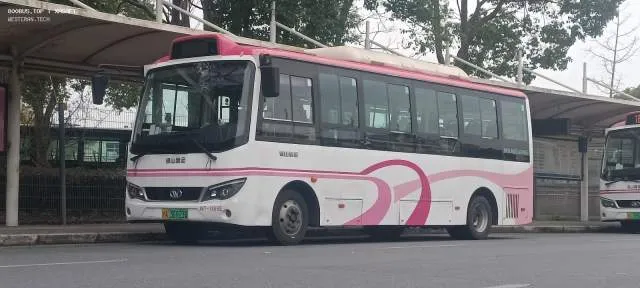 沪A 36923D