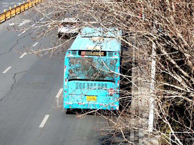 800BUS
