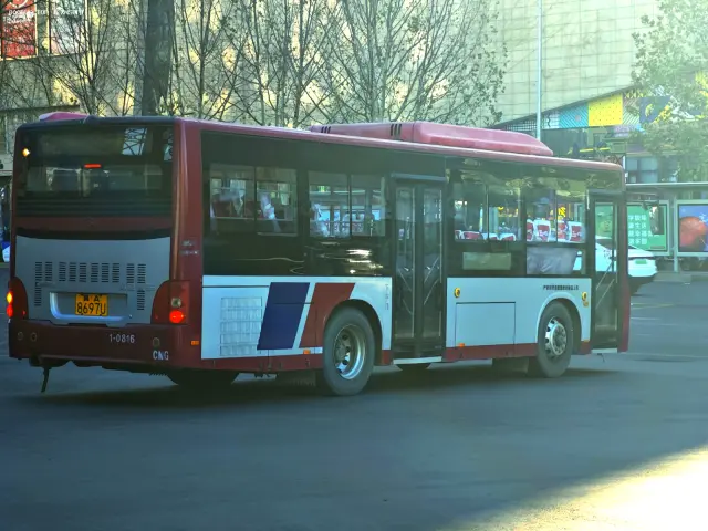 800BUS