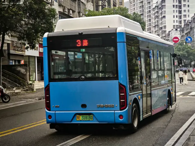 800BUS
