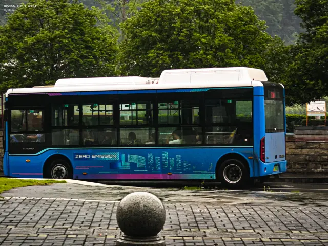800BUS