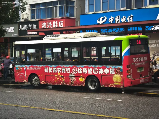 800BUS