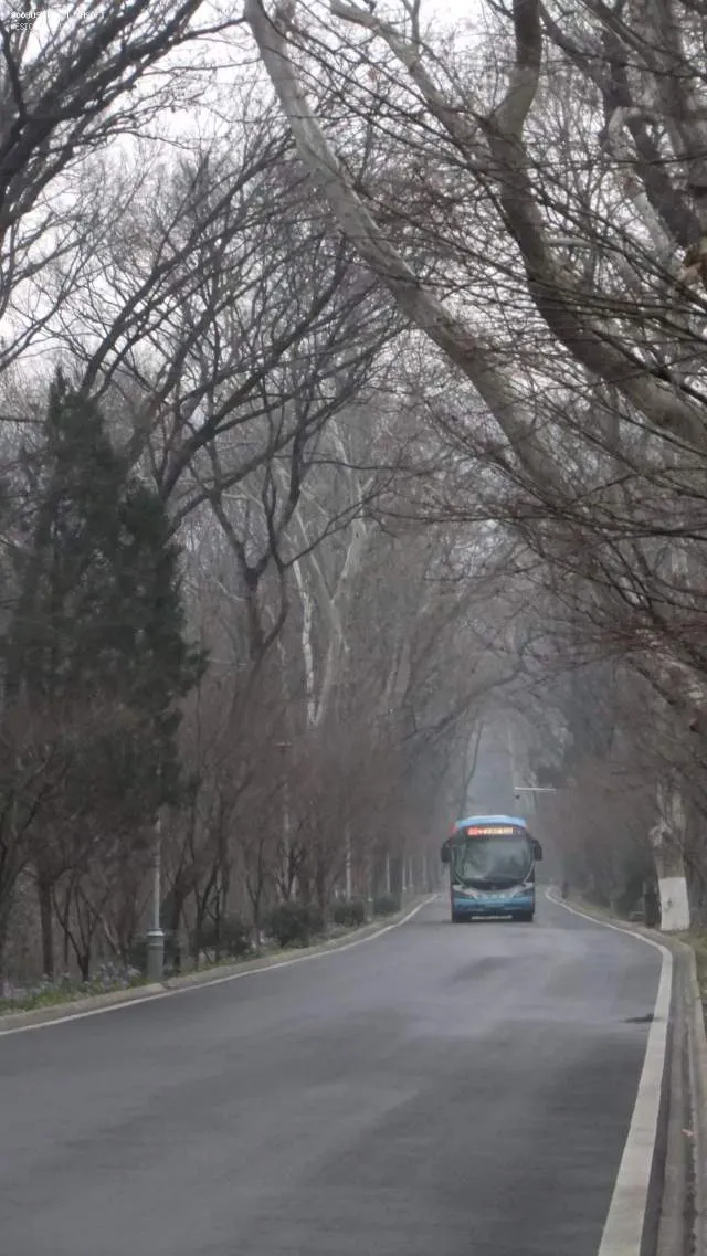 202路的广通在灵谷寺