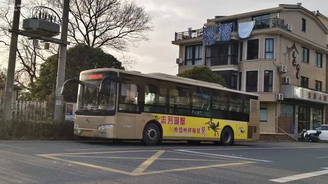 浙A7PI59