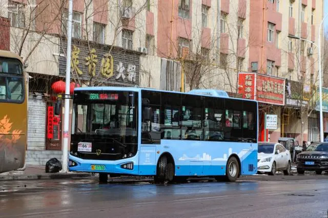 黑G 07176D
