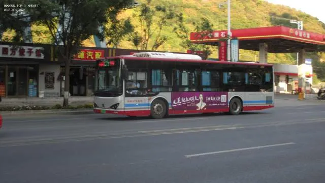 冀H 00295D