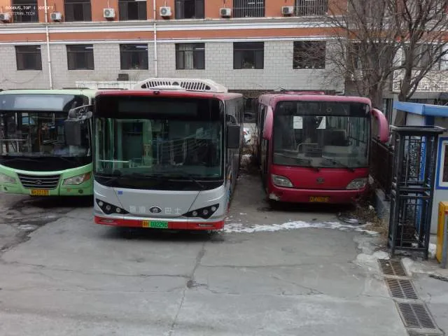 冀H Z2137(左一)，冀H 00229D(左二)，冀H Z0863(右一)