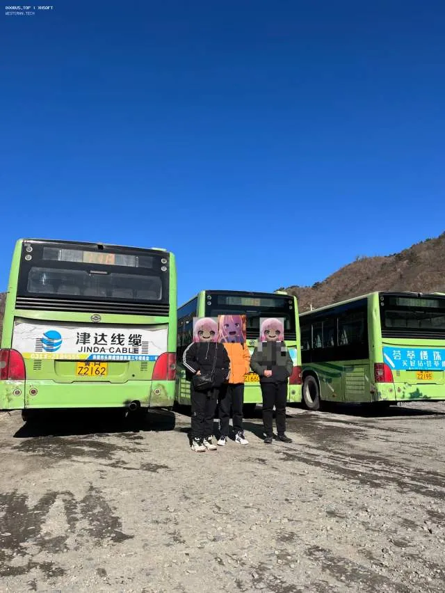 800BUS