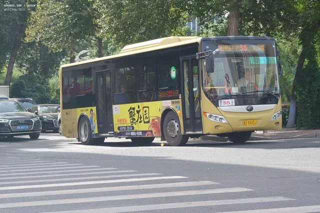 黑A R8052
