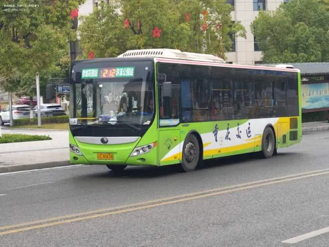 渝C 80638