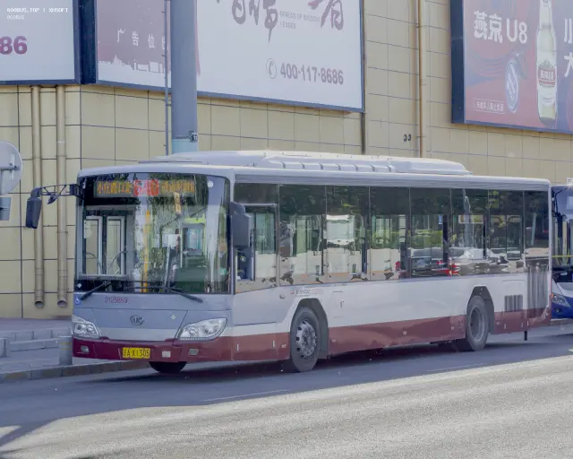 800BUS