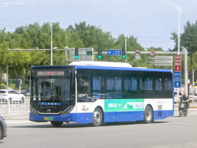 800BUS