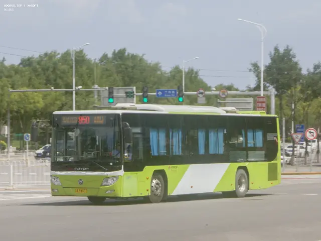 800BUS