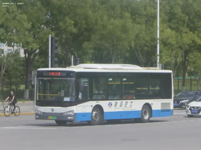 800BUS