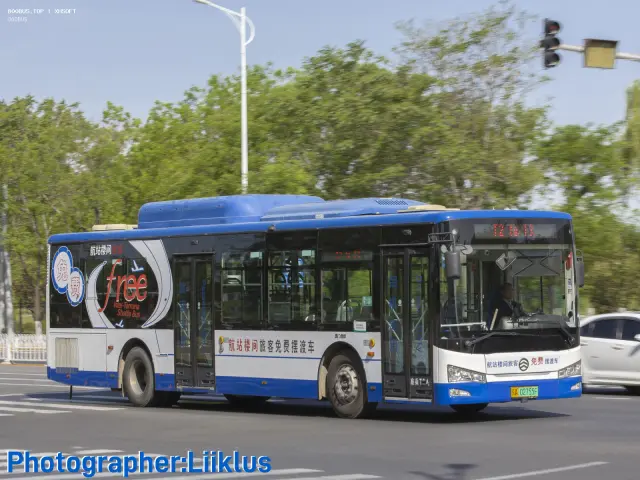 800BUS