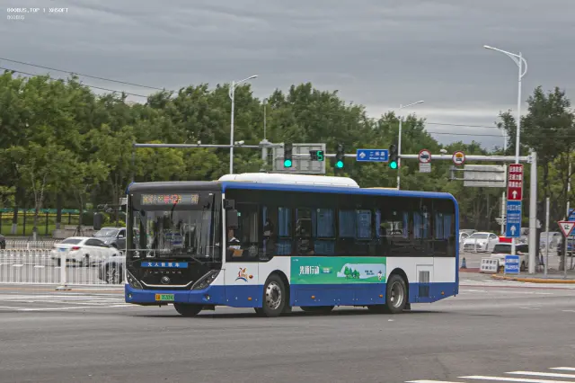 京A 35309D