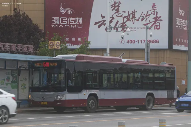800BUS