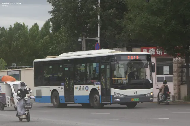 800BUS